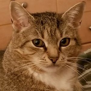 Meet your Posher, Evelina